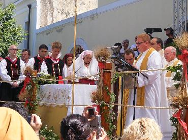 Matrimonio Mauritano 2010